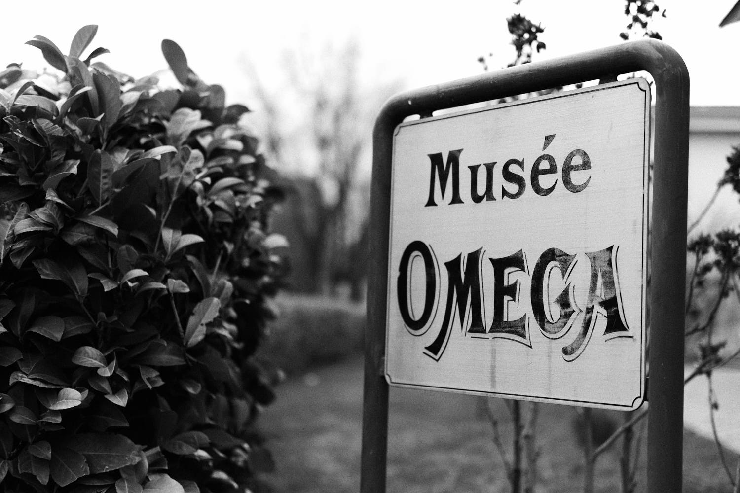 Sign-Omega-Museum-Visit-Monochrome-Watches